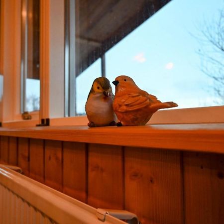 Thingvellir Cabin/Chalet Селфосс Экстерьер фото